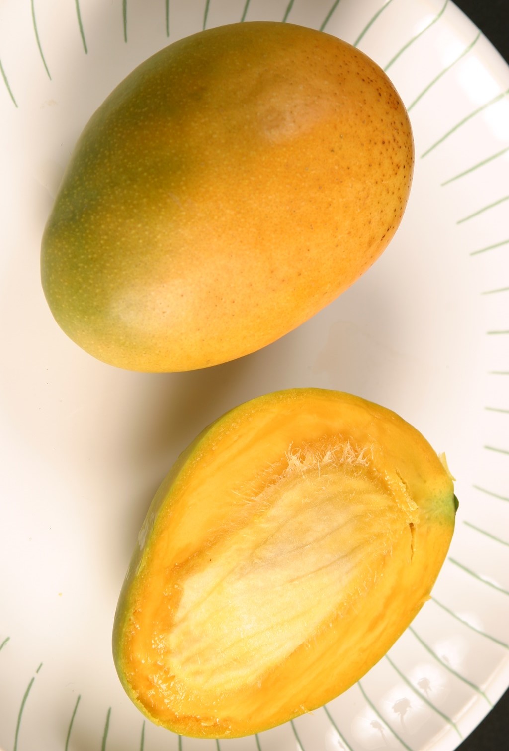 Mango Phenology - Carrie 2 - Photo credits: Ian Maguire