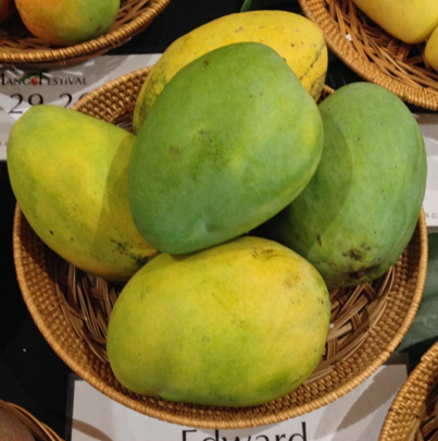 Edward - Mangos - University of Florida, Institute of Food and ...