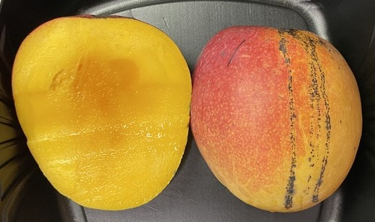 Mango Phenology - Otts 2 - Photo credits: JH Crane